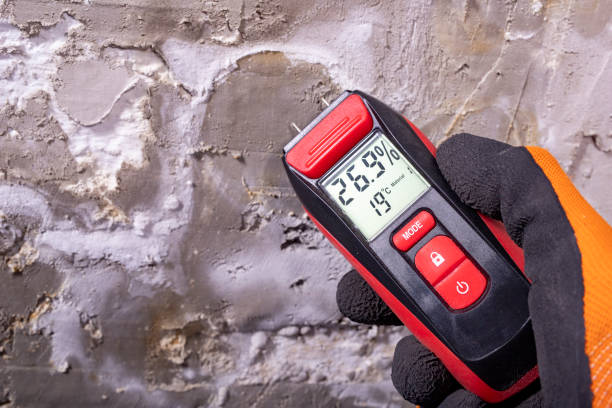 Best Health and Safety Mold Remediation in St Charles, MN