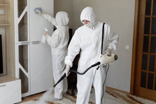 Best HVAC Mold Remediation in St Charles, MN